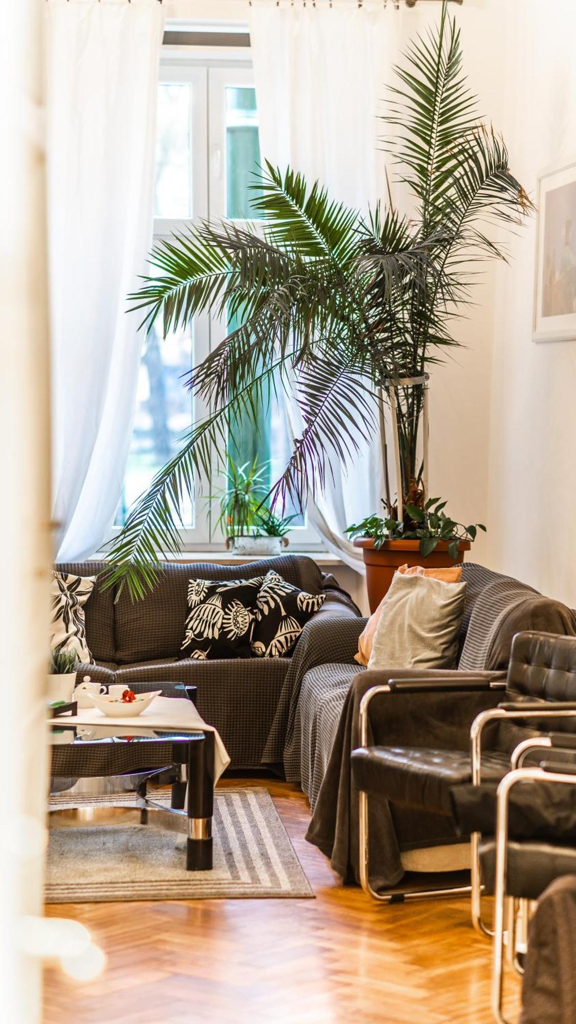 Fogra Travel Apartment คราคูฟ ภายนอก รูปภาพ